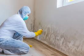 Best Black Mold Removal  in Dover, OH